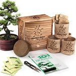 Bonsai Starter Kit - DIY Bonsai Growing Gift - Garden Hobbies for Adults, Women & Men : 4 Unique Tree Seeds, Soil, Pots, Pruning Shears, Plant Markers + Wood Gift Box