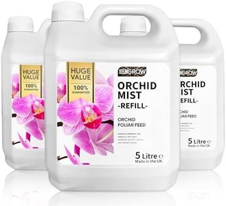 Orchid Mis