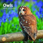 2025 Owls Monthly Wall Calendar by Bright Day, 12 x 12 Inch Cute Nature Photography Gift