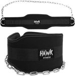 Hawk Sports Dip Belt with Chain for