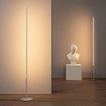 EDISHINE Modern LED Floor Lamp 2 Pack, 57.5" Minimalist Dimmable Standing Lamp,Tall Floor Lamps for Living Room, Bedroom, Office, 3000K Warm White Light