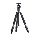 SIRUI MT-2204+MT-20 Professional Carbon Fiber Travel Tripod with Ball Head for Cameras,Tripod with Monopod, Center Column,Arca Swiss QR Plate, 61", Max. Load 33.07lb