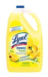 Cleaning Products For House Lysol