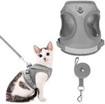 BINGPET Escape Proof Cat Harness and Leash Set - Adjustable Vest Harnesses for Small Medium Cats, Soft Reflective Mesh Vest Harness and Lead Set - Best for Kitten Walking