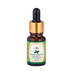 KUNJ New Japanese Peppermint Oil For Steaming, Hair, Skin, Face & Diffuser. - 10ml