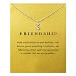 ZYAWP Message Card Compass Pendant Necklace Silver Friendship Sisters Sun Good Luck Crane Pendant Y Chain Necklace for Women and Girl Gift (silver Anchor)