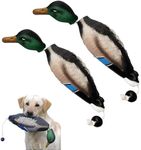 fingig 2 Pcs Duck Dummy Bumper Toys for Hunting Retriever Dog Training, Dog Retriever Outdoor Training Toy Duck，Hunting Duck Recognition Trainers, Foam Pet Dog Interactive Toys