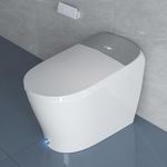 Upgraded Smart Toilet with Powerful