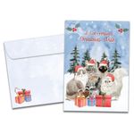 Tree-Free Greetings Christmas 12 Pack with Matching Envelopes, Eco Friendly, Made in USA, 100% Recycled Paper, 5"x7", Cat Person Wishes (HP60630)