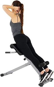 Sunny Health & Fitness SF-BH6629 45 Degree Hyperextension Roman Chair