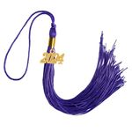 GraduationMall Single Color Graduation Tassel with 2024 Year Charm 9" Purple