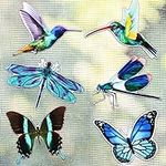 12 Pcs Screen Magnets Butterfly Dra
