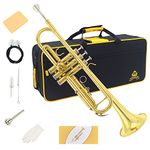 Yasisid Bb Standard Trumpet Set instrument,Brass Trumpet Instrument with Hard Case, Cleaning Kit, 7C Mouthpiece and Glovesfor adults or kids -Beginner (gold)