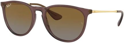 Ray-Ban Erika RB4171 6593T5 54MM Transparent Dark Brown/Plastic Lens Brown Gradient Polarized Round Sunglasses for Women + BUNDLE With Designer iWear Eyewear Kit