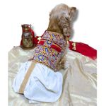 Kitty & The Woof Gang Dog Sherwani | Dog dhoti kurta Vashti | Cat sherwani | Dog Dress | Traditional costume | Pet apparel Festive/Wedding/Diwali/Navratri | Ethnic Wear | small, medium, large XXS-8 In