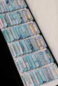 UPAFEXXI-Laminated Bible Tabs (Gold Foil Embossed Lettering), Bible Tabs for Women and Men, Reposition Large Print Stickers, Easy to Read and Apply, 80 Chapters Labels for Easy Navigation(Blue)