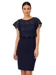 Adrianna Papell Women's Sequin Guipure Crepe Dress, Navy, 8