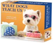 What Dogs Teach Us 2025 6.2" x 5.4" Box Calendar