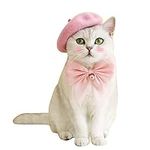 Wholesale Fashion Four Seasons Funny Customized Wool Pet Beret Hat with Accessories (Pink)