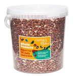 Cutting it Vine Peanuts for Birds (10L Tub), Attract Wild Birds with Finest Grade Peanuts, Year Round Wild Bird Food and Squirrel Food of Choice