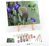 Ledgebay DIY Paint by Numbers Kit for Adults Framed Canvas Beginner to Advanced Paint by Numbers Kit, Kits Include Acrylic Paint Set, Brushes & Tabletop Easel (Hummingbird 16" x 20" Framed)