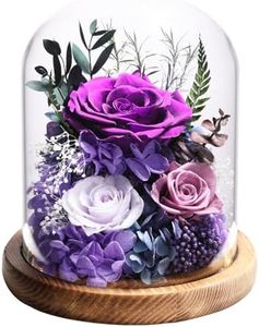 lovenfold Flowers for Delivery Prime Preserved Rose Gifts for Women,Long-Lasting Real Flowers in Glass Dome,Valentine Day Mothers Day Birthday Gifts for Women Mom Friend(Purple Rose)