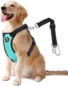 VavoPaw Dog Vehicle Safety Vest Harness, Adjustable Soft Padded Mesh Car Seat Belt Leash Harness with Travel Strap and Carabiner for Most Cars, Large Size, Blue