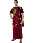 Rubie's Costume Men's Julius Caesar Adult Costume, Multi, Standard