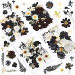 Augshy Black Dried Pressed Flowers,