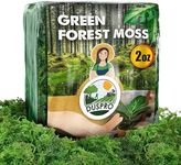 Duspro Green Moss for Crafts Decora