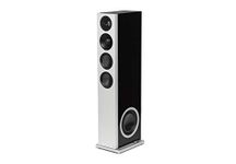 Definitive Technology D15 Demand Series Modern High-Performance 3-Way Tower Speaker (Right-Channel) - Single, Black | Dual 8” Passive Bass Radiators