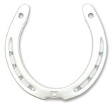 AuPra Authentic Lucky Cast Horse Shoe Wedding Gift Garden Shed Wall Hanging Good Luck Silver Metal HorseShoe Decor