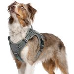 rabbitgoo Dog Harness No Pull, Military Dog Harness Medium Breed with Handle & Molle, Easy Control Service Dog Vest Harness Training Walking, Adjustable Reflective Tactical Pet Harness, Grey, M