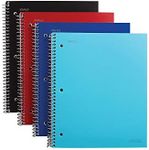 Staples Accel Durable Notebook Grap