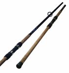 Surf Spinning Rods