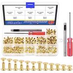 Glarks 110 Sets 6 Sizes Chicago Screws Leather Rivets with Punch and Screwdriver Kit, M5 x 4/5/6/8/10/12mm Chicago Button Binding Post Screw Nail Rivets for DIY Leather Craft Bookbinding (Gold)