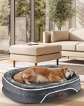 OhGeni Orthopedic Dog Bed Couch for