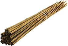 Bamboo Canes For Gardens/Plant Supp