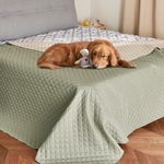 NICETOWN Pet Blanket, Water Resistant Cat Blanket, Dog Puppy Blanket, Dog Hair Repellent Blanket for Small Medium Large Dogs, Waterproof Sectional Couch Covers, 1 PC, 62 x 82, Beige/Khaki