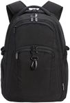 Amazon Basics Travel Laptop Backpac
