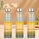 Borosil Artisan Series Glance 550 ml Narrow Mouth Glass Bottle with Metal Lid | 100% Borosilicate, Fridge & Dishwasher Safe, Leakproof, Transparent | Store Water, Lassi, Juice, Smoothies | Pack of 3