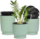 T4U Medium Self Watering Plant Pots Indoor, 6 Pack Indoor Plant Pot, Green Plastic Flower Pots, House Plant Pots for Indoor Outdoor Plants, Succulent, Cactus, African Violets, Spider Plants
