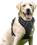 CASPERi No Pull Dog Harness Medium, Front Clip Pet Vest Harness with Handle Adjustable Dog Padded Harness Reflective Mesh Lightweight Dog Harness for Outdoor Training Walking, Black (M (Pack of 1))