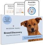 Wisdom Panel Breed Discovery Dog DNA Kit: Most Accurate Dog Breed Identification, Test for 365+ Breeds, MDR1 Health Test, Ancestry, Relatives