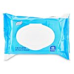 Equate Flushable Wipes 48 ct. Fresh Scent Pop-Up Dispensing