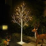 Fanshunlite Lighted Birch Tree 4 Ft 48 LED for Christmas Holiday Party Decorations Home Wedding Festival,Indoor and Outdoor Use,Warm White