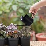 Preshwous Mini Watering Can, 10oz/300ml Tiny Watering Pot for Indoor Plants, Stainless Steel Small Watering Can with Long Spout for Pot Plants, Flowers, Succulents