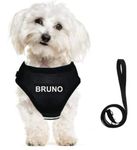 Dog Harness For Small Breed