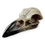 Halloween Raven Skull, Gothic Raven Decor Statue Animal Skull, Fake Bone Decor Crow Necklace Head Jewelry Pendant, Bird Skeleton Animal Skull Mask Crown, Witchy Gift for Men and Women (1 Pack)