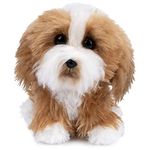 GUND Boo, The World’s Cutest Dog, Boo & Friends Collection Tibetan Terrier Puppy, Stuffed Animal for Ages 1 and Up, 5”